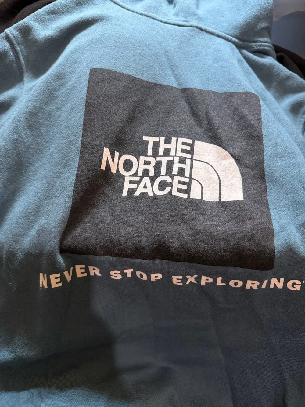 The North Face Teal Hoodie with Black Logo and White Text